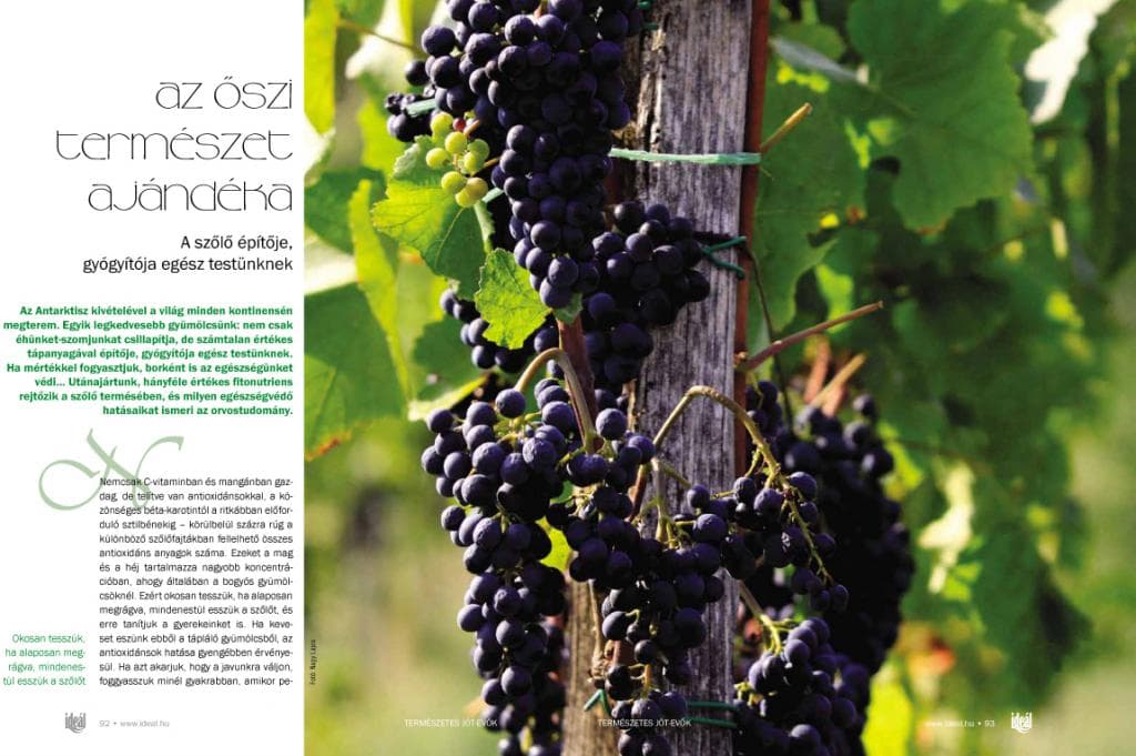 /assets/galleries/Újságok, magazinok/i93.jpg