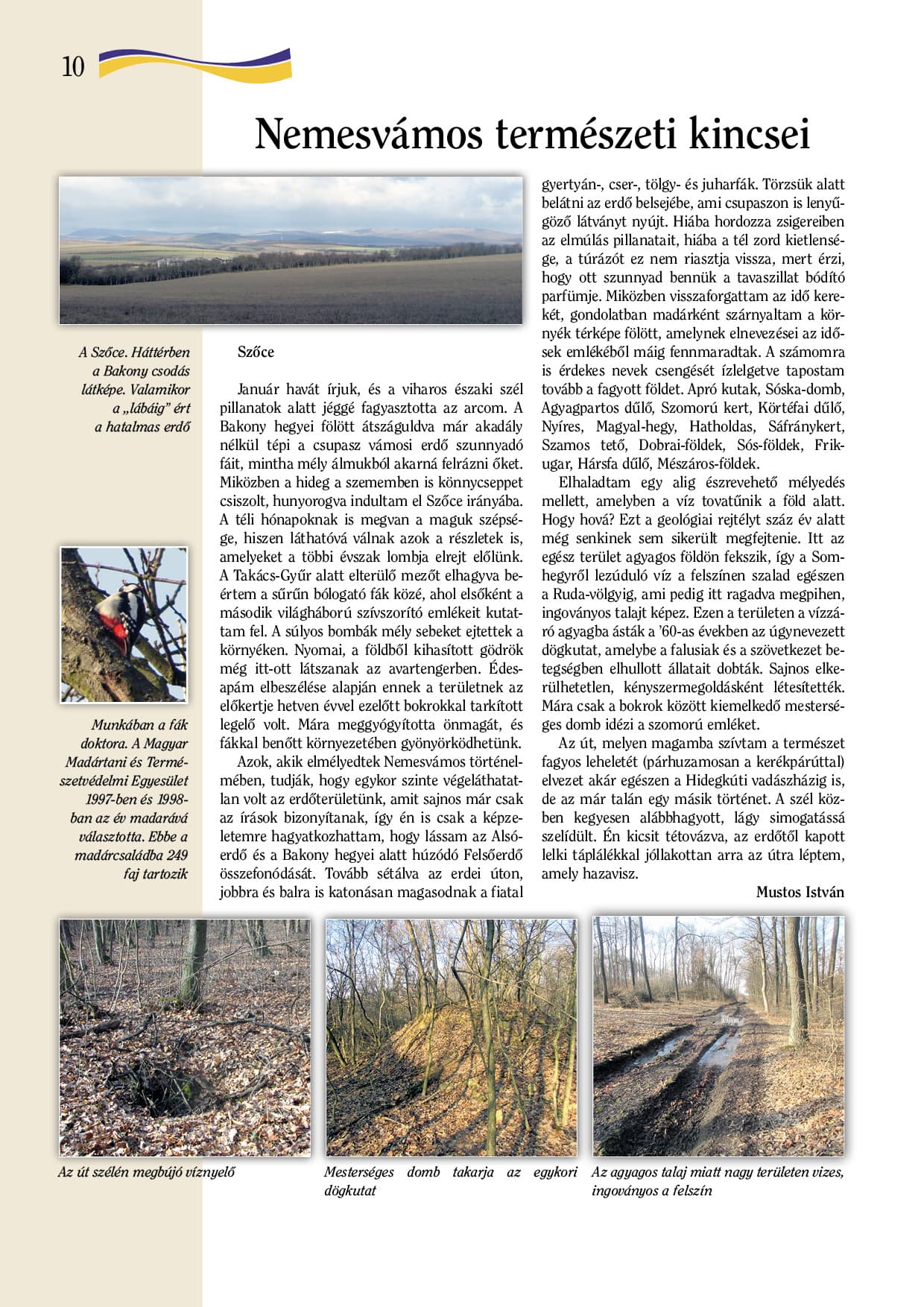 /assets/galleries/Újságok, magazinok/nv_10.jpg