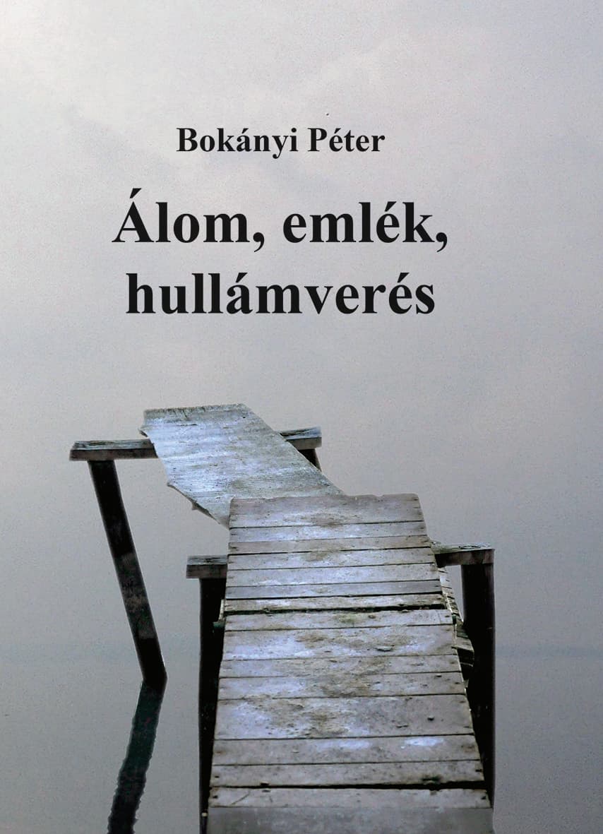 /assets/galleries/Könyvek, borítók/Bokányi tanulmányok.jpg