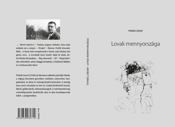 /assets/galleries/Könyvek, borítók/Lovak.jpg