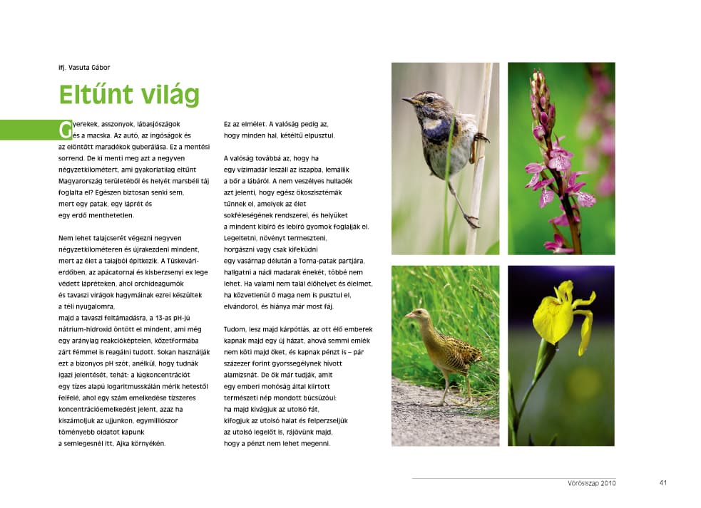 /assets/galleries/Könyvek, borítók/d3.jpg