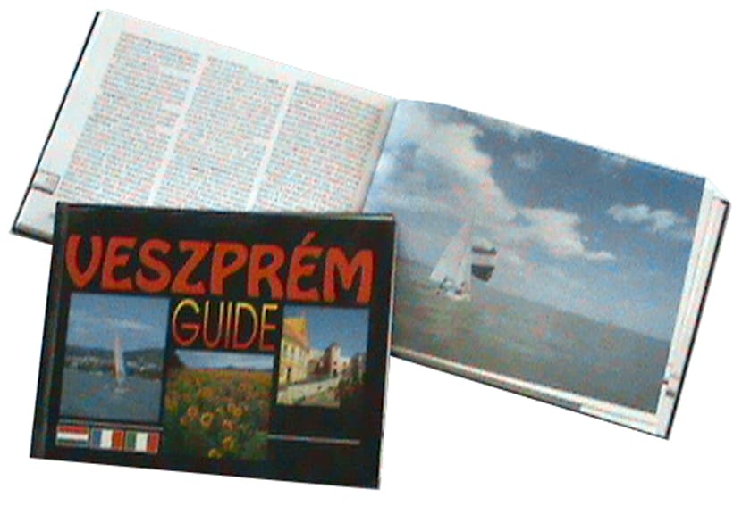 /assets/galleries/Könyvek, borítók/gud_konyv.jpg