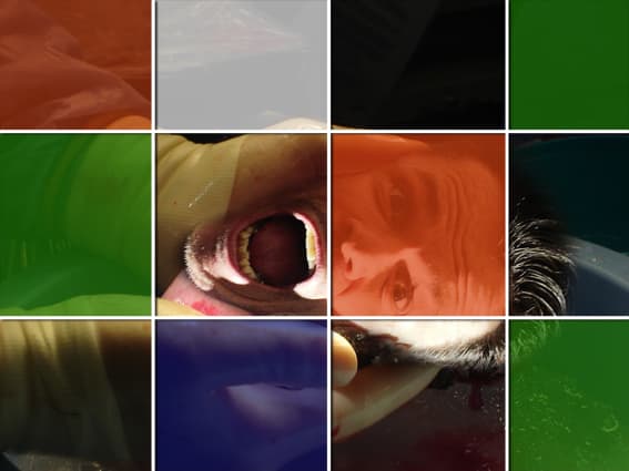 /assets/galleries/Szórólapok, egyéb/emberi_2_masolata.jpg