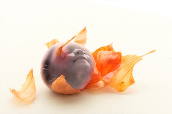 /assets/galleries/Szórólapok, egyéb/globe_2_masolata.jpg